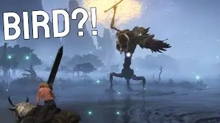 How To Beat The Deaf Bird In Elden Fring