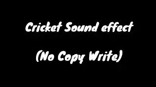 Cricket Sound Effect (no Copyright)