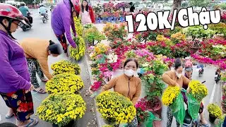 Chợ Hoa Tết Bến Bình Đông Nhộn Nhịp Những Ngày Đầu Bà Con Đi Mua Hoa Tết Cúc Mâm Xôi 120k/chậu
