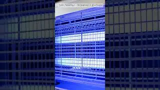 Обзор инсектицидной лампы FROJER PRO D30IN-FSL