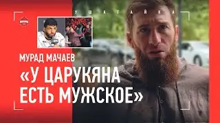 МАЧАЕВ: Психологи лезут в Дагестан с пропагандой феминизма / Махачев и Царукян, позиция ШЛЕМЕНКО