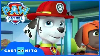 PAW PATROL | Köpekler Treni Kurtarır | Cartoon Network Türkiye