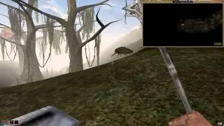 Morrowind running on Mac OS X