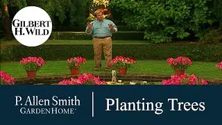 Planting & Growing Trees | Garden Home (710)