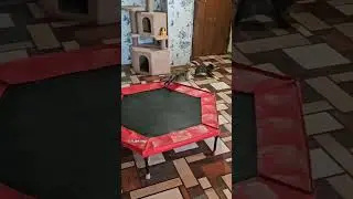 Женская Дружба не отдыхает 👩‍❤️‍👩 