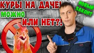 Россиянам ЗАПРЕТИЛИ держать КУР НА ДАЧЕ?! НОВЫЙ ЗАКОН?!