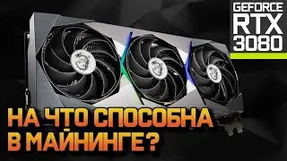 Быстрый тест RTX3080 MSI Suprim X в Майнинге. (Моя кредитная ферма)