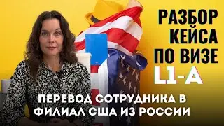 Виза L1-A / Кейс перевода сотрудника в США / Что нужно знать? Иммиграция в США в 2024 и 2025