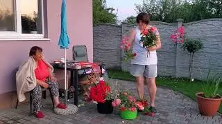 Светлана сорвала все розы 🌹! Будет с мамой продавать возле АТБ