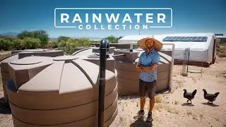 Thriving Off Grid in the Desert without a Well | PARAGRAPHIC