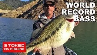 World Record Bass | Part 1