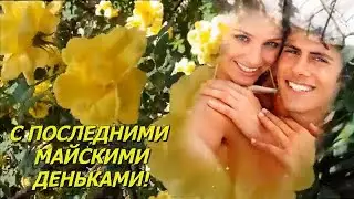 "С последними майскими деньками!"Красивая музыкальная открытка для друзей.