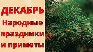 Это НУЖНО знать! ДЕКАБРЬ. Народные приметы и праздники ДЕКАБРЯ!