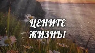 Берегите себя и своих родных!