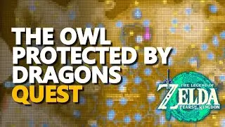 The Owl Protected by Dragons Zelda Tears of the Kingdom