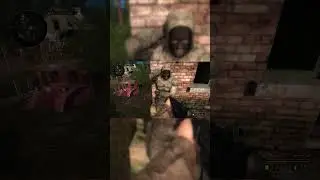 True Stalker ➨ Полное прохождение игры на канале!) ➨ Заходи! ➨