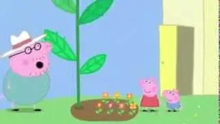 peppa pig - peppa and george's garden