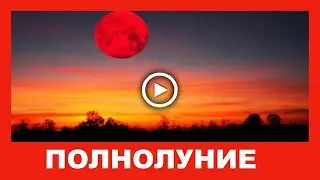 Полная луна.  Луна в фазе полнолуния