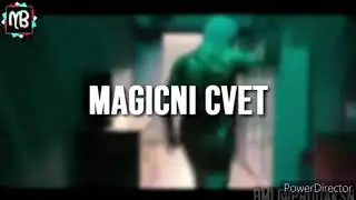 DEVITO - MAGIČAN CVET 🍀🍀🍀(tekst)