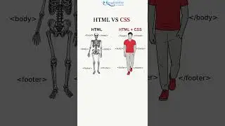 HTML vs CSS #html #css #coding #programming