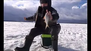 Яуза. Жерлицы, безмотылка. Встреча с бывалым рыболовом.