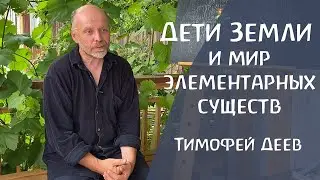 Невидимый мир элементарных существ: духи земли, воды, воздуха и огня. Тимофей Деев.