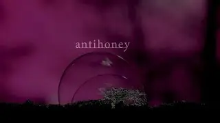 [official] antihoney Cover Live on May 29th PM 10:00(JST), 2021