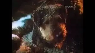 к/ф 
