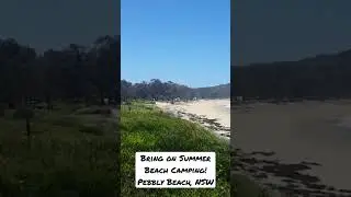 Pebbly Beach - Yuraygir NP, NSW