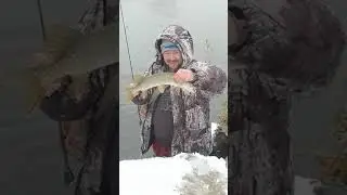 Вонючие водопады реки Миасс. 24 окт 23г мормышинговые снасти на огромных щук и окуней. Кайф.