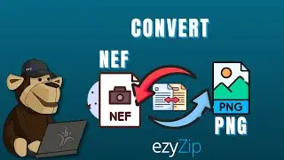 How to Convert NEF to PNG Online (Simple Guide)