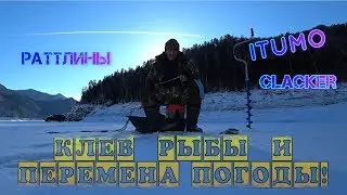 ✅ Зимняя рыбалка на раттлины! Хороший клев окуня!