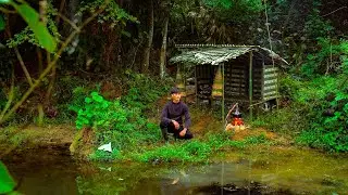 2 Days solo survival CAMPING. Bushcraft Survival Shelter by the Stream, Foraging For Food, Cooking