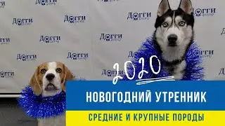 Новогодний Утренник в 