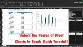 Excel Pivot Charts Explained: A Complete Guide(2024)!👨‍💻