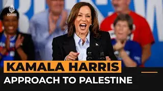 Kamala Harris’s Palestine policy is nothing new, says commentator | Al Jazeera Newsfeed