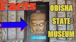 Odisha State Museum Bhubaneswar || Odisha Tribal Museum || 2020 Travell Diary | AK Technical