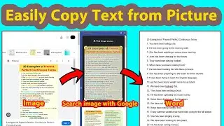 Easily copy text from image | Copy text from picture in a few clicks