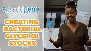 Creating Bacterial Glycerol Stocks