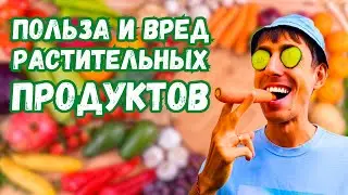 Как РАСТИТЕЛЬНАЯ ЕДА влияет на наше ЗДОРОВЬЕ | УЗНАЙ отличия между приготовленной едой и сыроедением