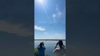 Toronto Air Show