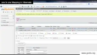 Hibernate Tutorial part 8 - One to One Mapping using Annotations