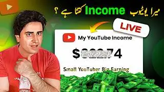 My YouTube Income 🤑 ( As a Small YouTuber )