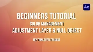 After Effects Beginner Adjustment Layer & Null Object(Tamil) - Part 15