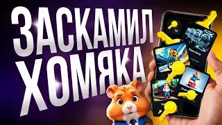 HAMSTER KOMBAT ХОЧЕТ НАС ЗАСКАМИТЬ? МЫ САМИ ЗАСКАМИМ ХАМСТЕР КОМБАТ! ПОЛУЧАЕМ ВСЕ КЛЮЧИ ЗА МИНУТУ!