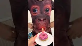 Blowing gorilla by MishTim