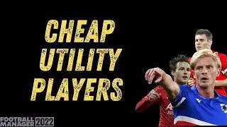 CHEAP Utility PLAYERS FM22