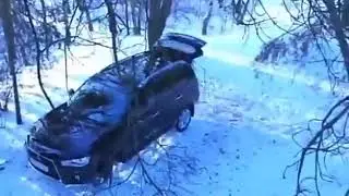 Медведь Беспредельщик!!! 熊偷了一辆车 Bear stole a car