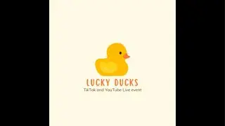 Lucky Duck live