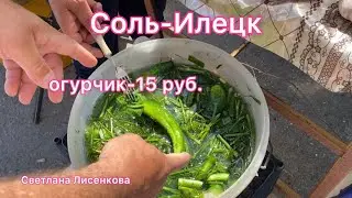 Соль-Илецк 2022 год! Рынок, огурчик какого размера? Цена огурца🤣!